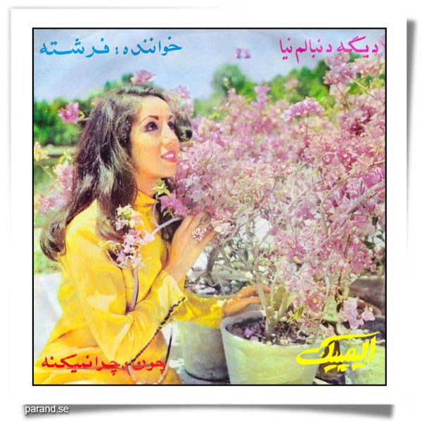 فرشته دیگه دنبالم نیا چون و چرا نمی کنه