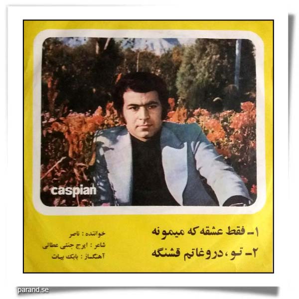 ناصر صبوری فقط عشقه که می مونه تو دروغاتم قشنگه