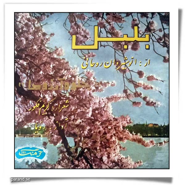 رویا بلبل جلوه آرزوها