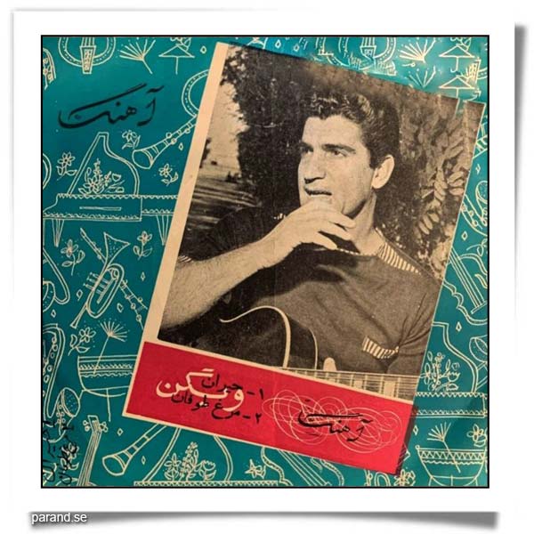 ویگن مرغ توفان حیران