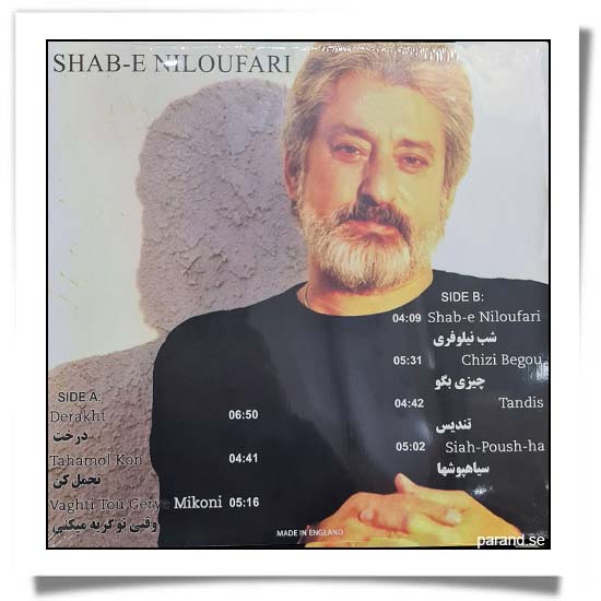 ابی شب نیلوفری