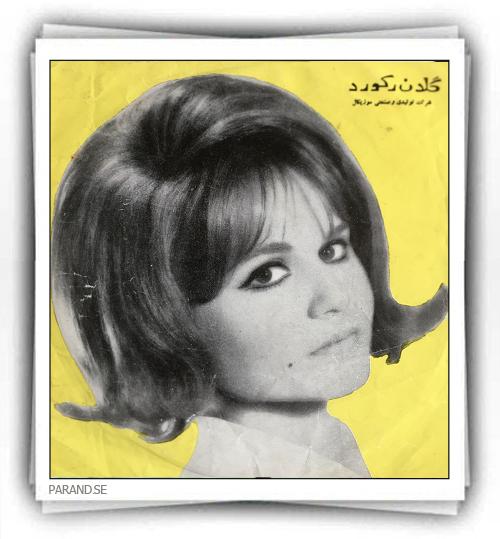 پرتو قصه طوطی