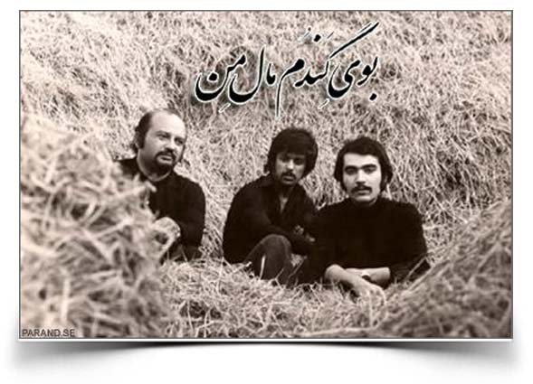داریوش بوی گندم