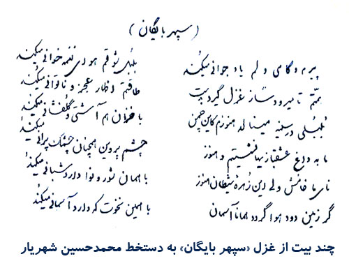 پیرم و گاهی دلم یاد جوانی می کند