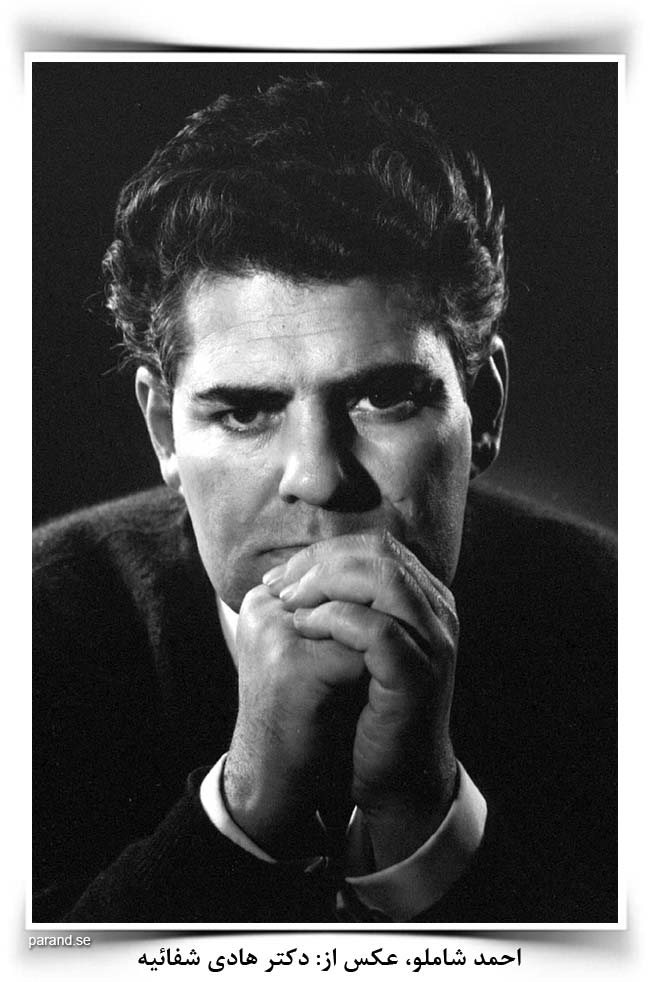 احمد شاملو هادی شفائیه