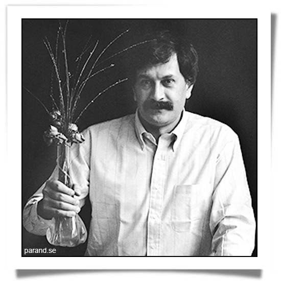 عمران صلاحی خونه بهار