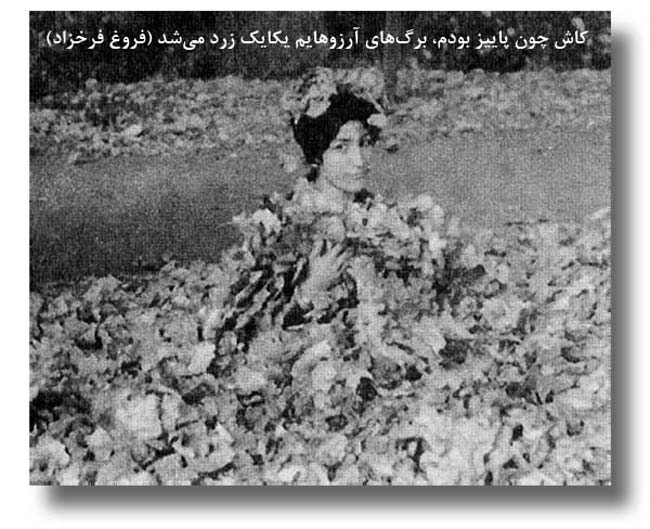 فروغ فرخزاد کاش چون پاییز بودم
