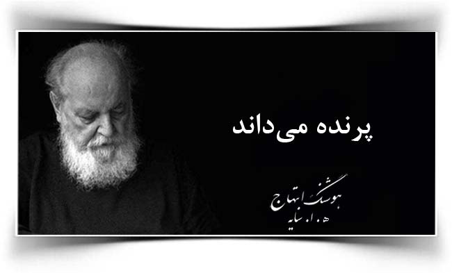 هوشنگ ابتهاج پرنده می داند