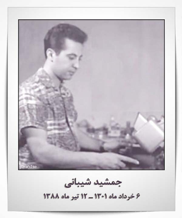 جمشید شیبانی