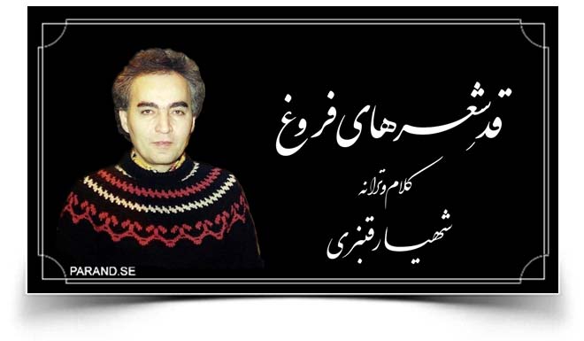 شهیار قنبری قلب