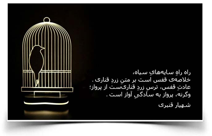شهیار قنبری زرد