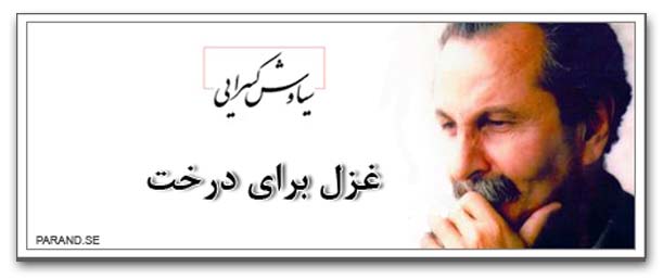 سیاوش کسرایی غزل برای درخت