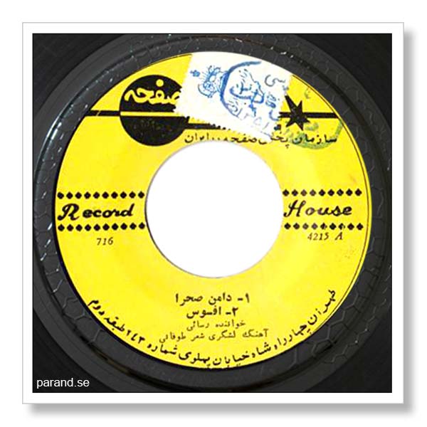 امیر رسایی افسوس