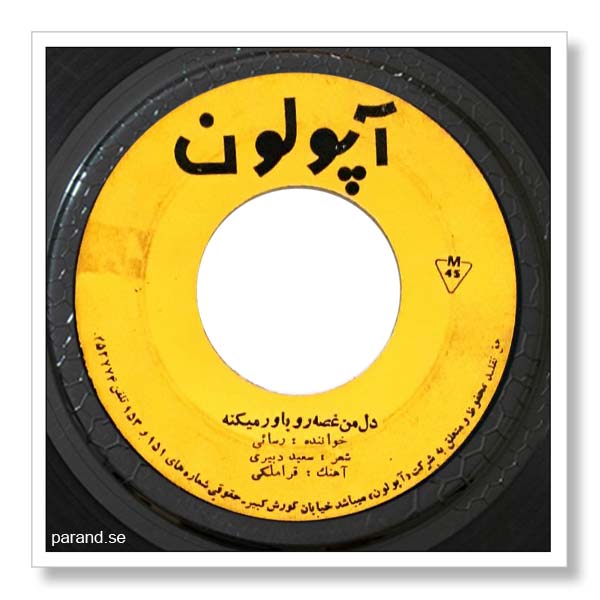 امیر رسایی دل من غصه رو باور می کنه