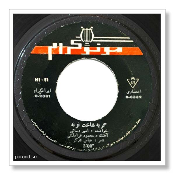 امیر رسایی گربه شاخت نزنه