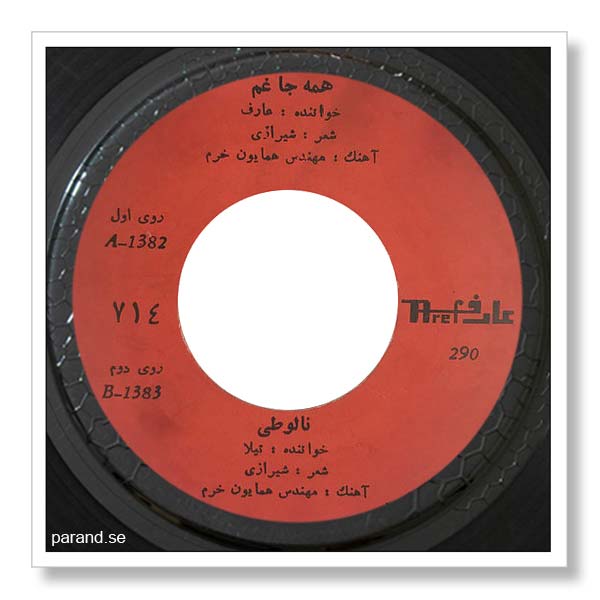 عارف همه جا غم