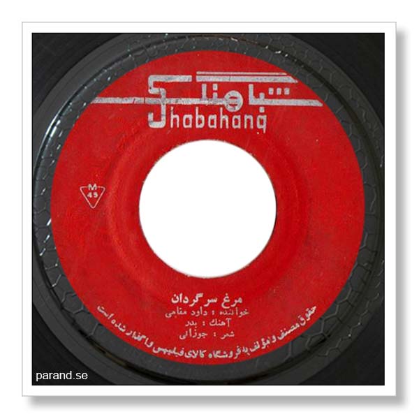 داود مقامی مرغ سرگردان