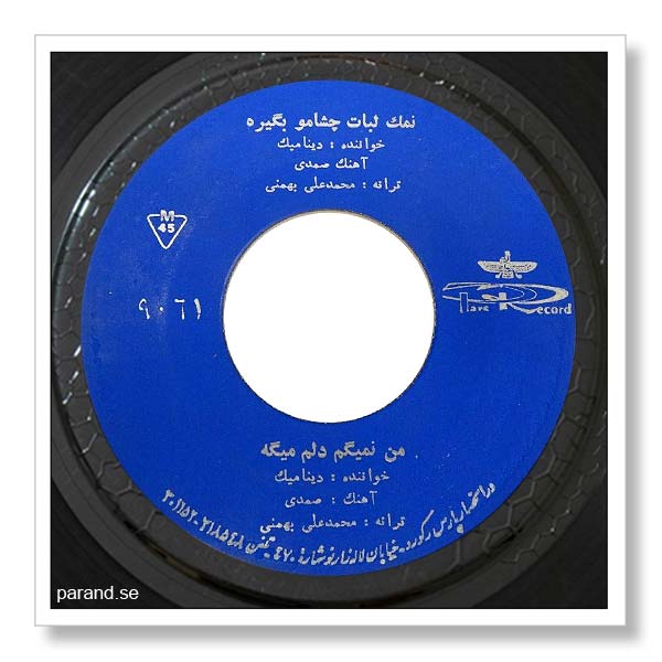 دینامیک من نمیگم دلم میگه