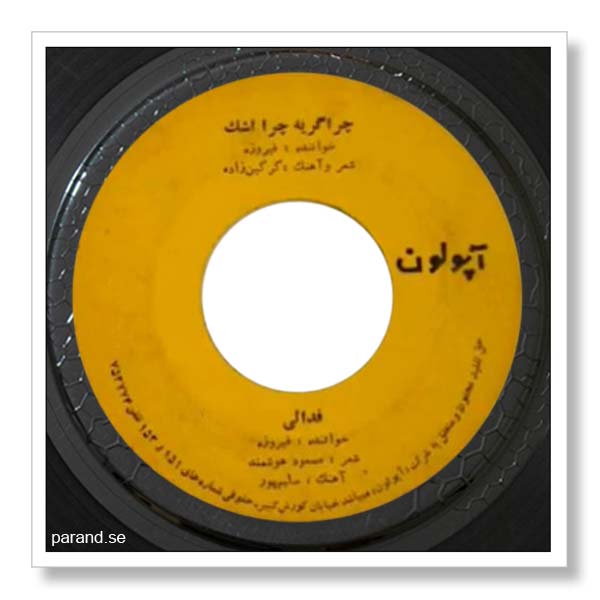 فیروزه فدایی