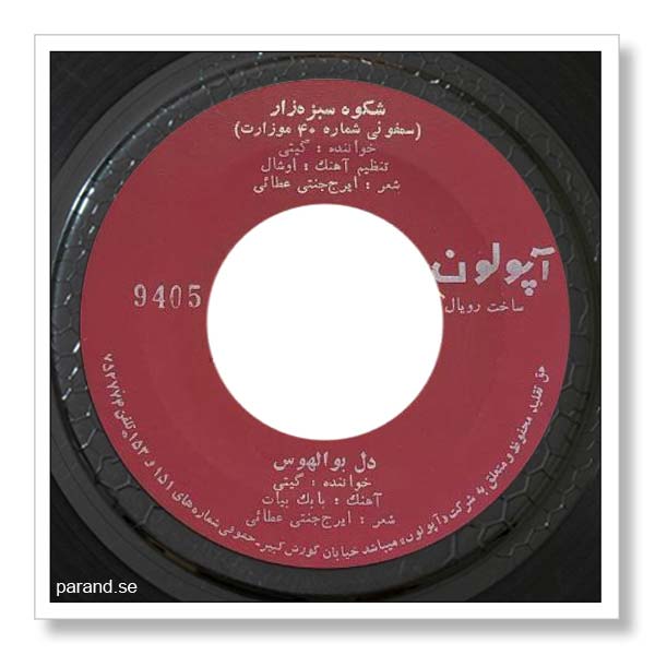گیتی پاشایی شکوه سبزه زار
