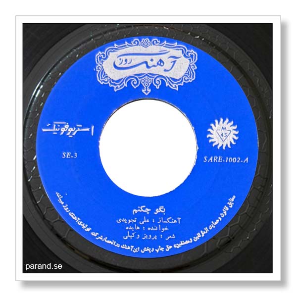 هایده بگو چکنم