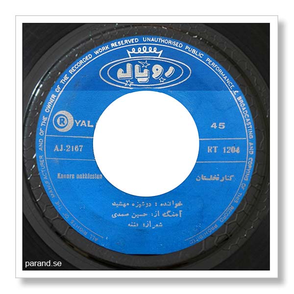 مهشید کنار نخلستان