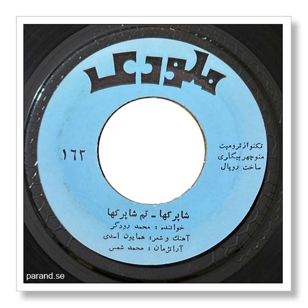 محمد رودگر شاپرکها