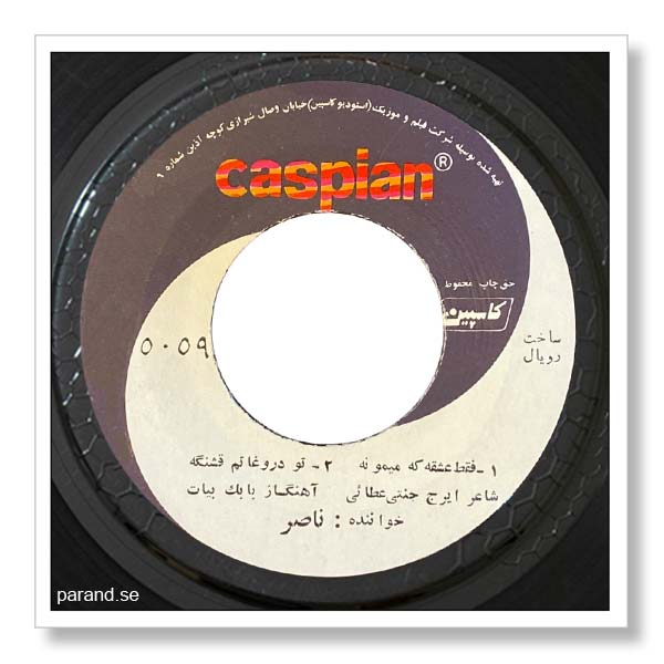 ناصر صبوری تو دروغاتم قشنگه