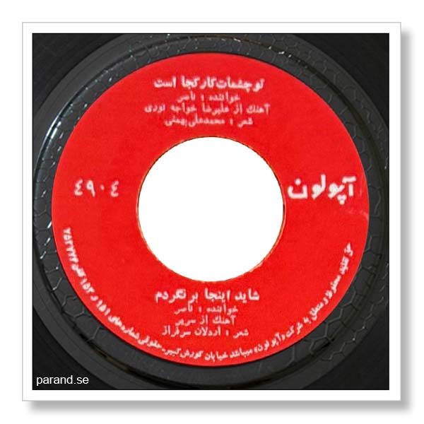 ناصر صبوری شاید اینجا برنگردم