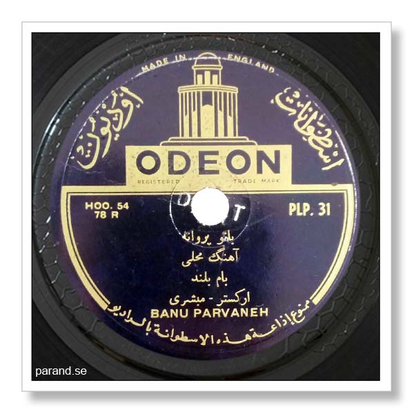 پروانه بام بلند