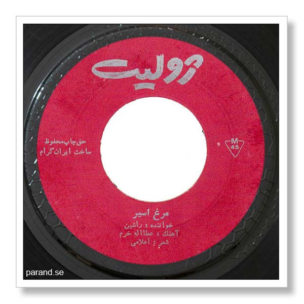 راشین مرغ اسیر