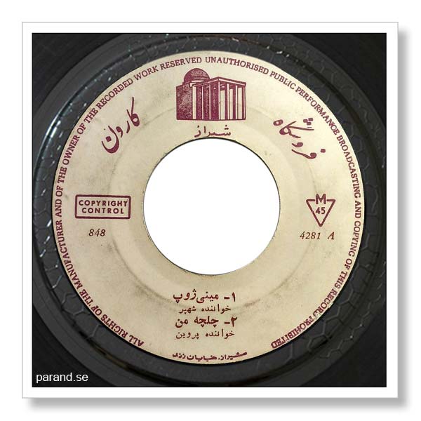 شهپر مینی ژوپ