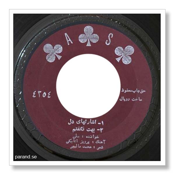 سلی بهت نگفتم