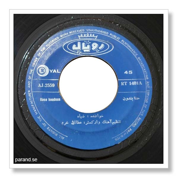 ضیا حنا بندون