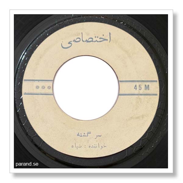 ضیا سرگشته