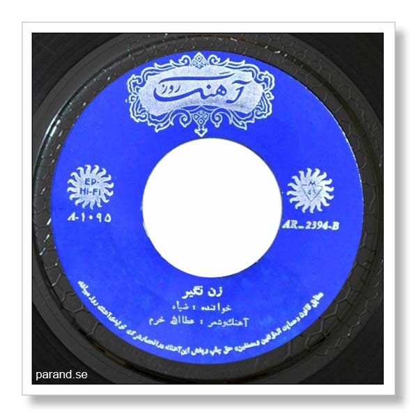 ضیا زن نگیر
